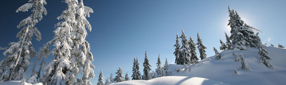 Winterlandschaft Schierke
